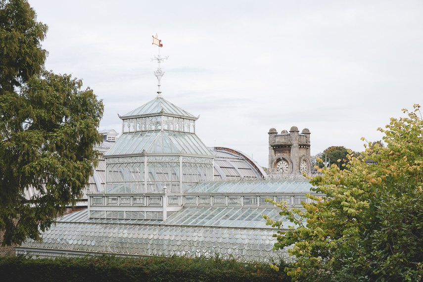 Horniman Museum Wedding Photographer